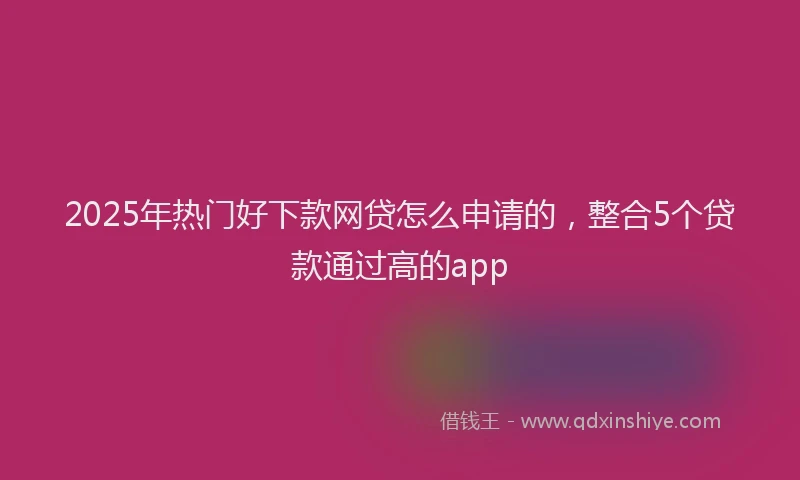 2025年热门好下款网贷怎么申请的，整合5个贷款通过高的app