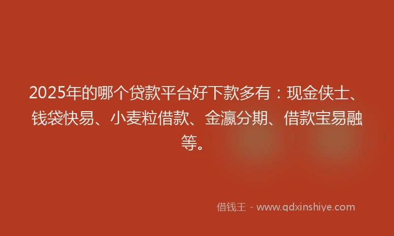 2025年的哪个贷款平台好下款多有：现金侠士、钱袋快易、小麦粒借款、金瀛分期、借款宝易融等。