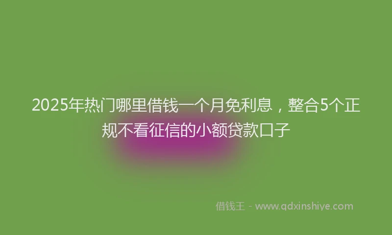 2025年热门哪里借钱一个月免利息，整合5个正规不看征信的小额贷款口子