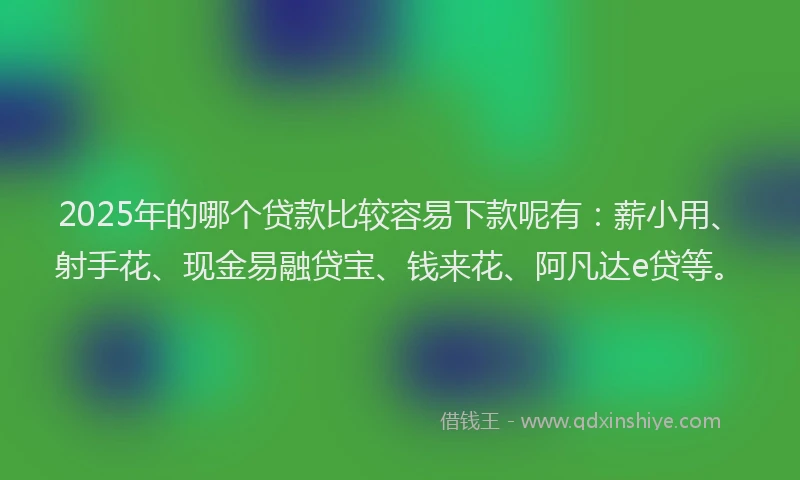 2025年的哪个贷款比较容易下款呢有：薪小用、射手花、现金易融贷宝、钱来花、阿凡达e贷等。