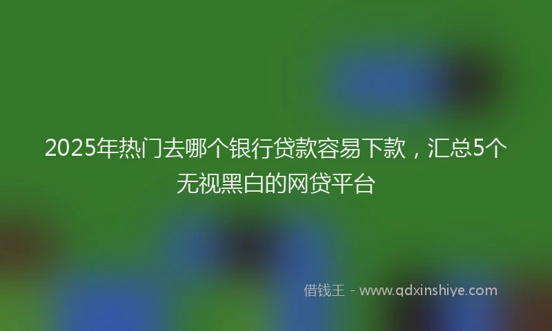 2025年热门去哪个银行贷款容易下款，汇总5个无视黑白的网贷平台