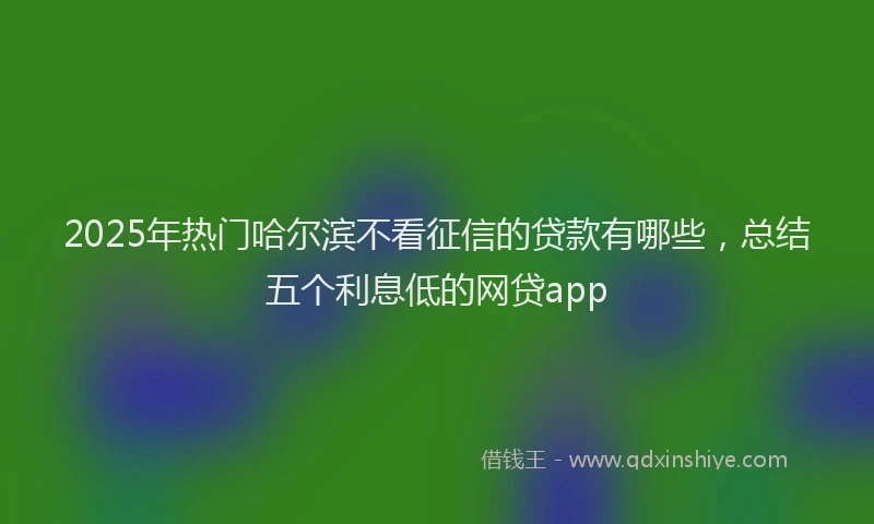2025年热门哈尔滨不看征信的贷款有哪些，总结五个利息低的网贷app