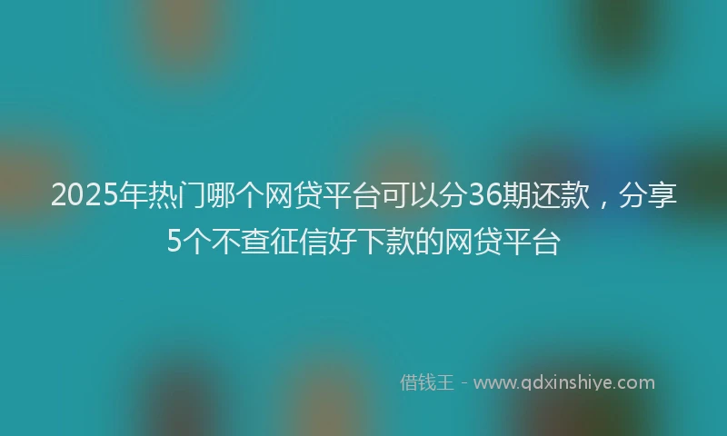 2025年热门哪个网贷平台可以分36期还款，分享5个不查征信好下款的网贷平台