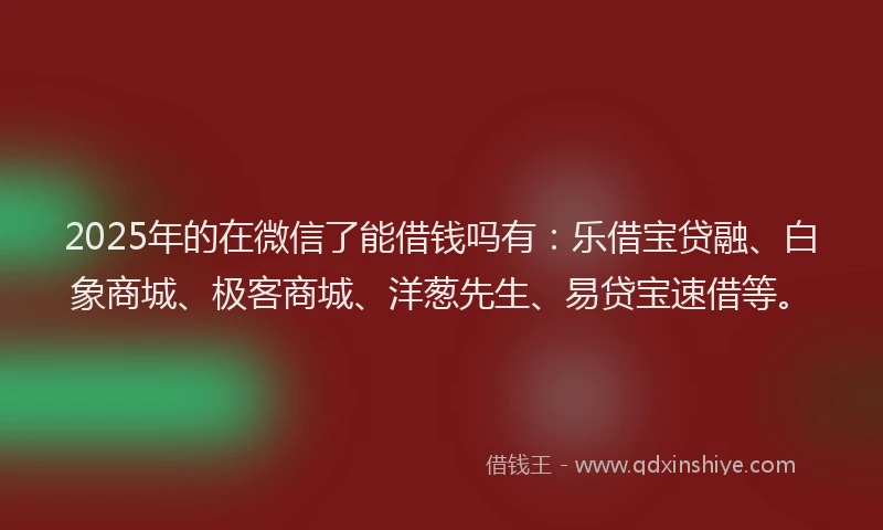2025年的在微信了能借钱吗有：乐借宝贷融、白象商城、极客商城、洋葱先生、易贷宝速借等。