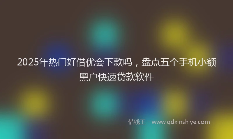 2025年热门好借优会下款吗，盘点五个手机小额黑户快速贷款软件
