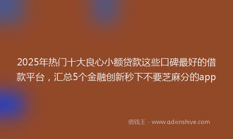 2025年热门十大良心小额贷款这些口碑最好的借款平台，汇总5个金融创新秒下不要芝麻分的app