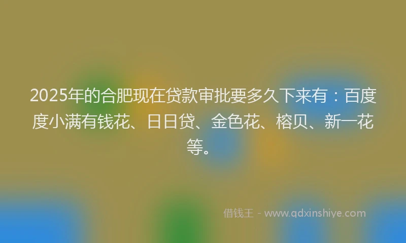 2025年的合肥现在贷款审批要多久下来有：百度度小满有钱花、日日贷、金色花、榕贝、新一花等。