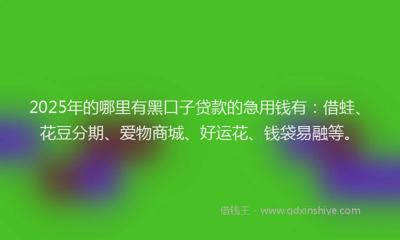 2025年的哪里有黑口子贷款的急用钱有：借蛙、花豆分期、爱物商城、好运花、钱袋易融等。