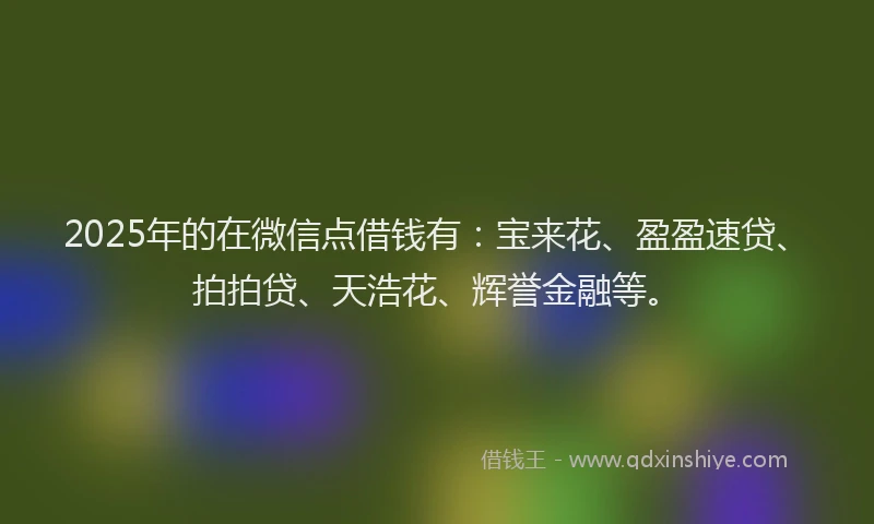 2025年的在微信点借钱有：宝来花、盈盈速贷、拍拍贷、天浩花、辉誉金融等。