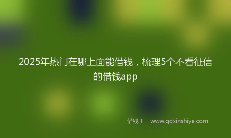 2025年热门在哪上面能借钱，梳理5个不看征信的借钱app