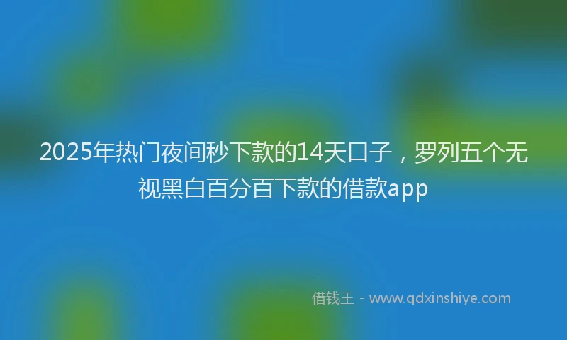 2025年热门夜间秒下款的14天口子，罗列五个无视黑白百分百下款的借款app