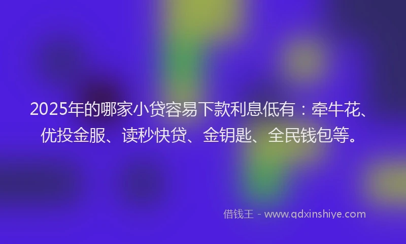 2025年的哪家小贷容易下款利息低有：牵牛花、优投金服、读秒快贷、金钥匙、全民钱包等。
