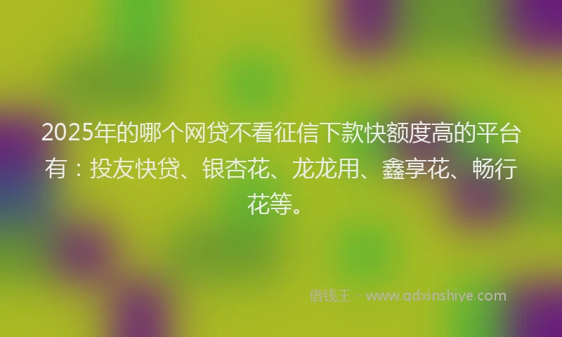 2025年的哪个网贷不看征信下款快额度高的平台有：投友快贷、银杏花、龙龙用、鑫享花、畅行花等。