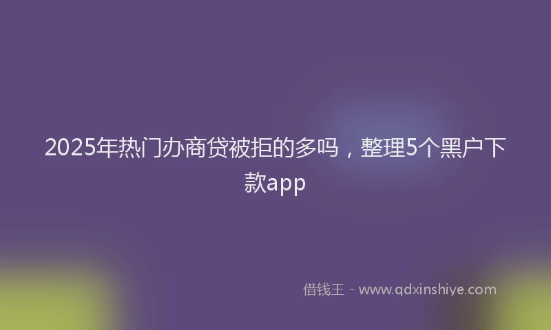 2025年热门办商贷被拒的多吗，整理5个黑户下款app