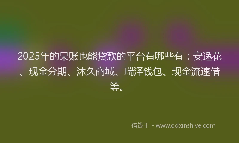 2025年的呆账也能贷款的平台有哪些有：安逸花、现金分期、沐久商城、瑞泽钱包、现金流速借等。