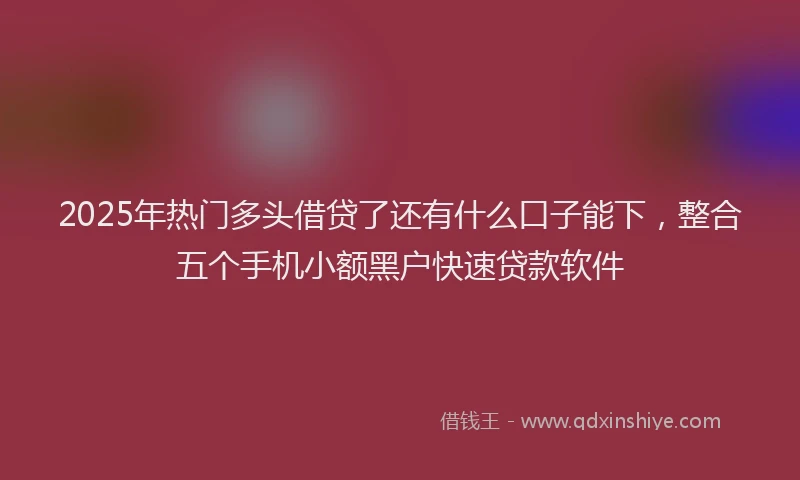 2025年热门多头借贷了还有什么口子能下，整合五个手机小额黑户快速贷款软件