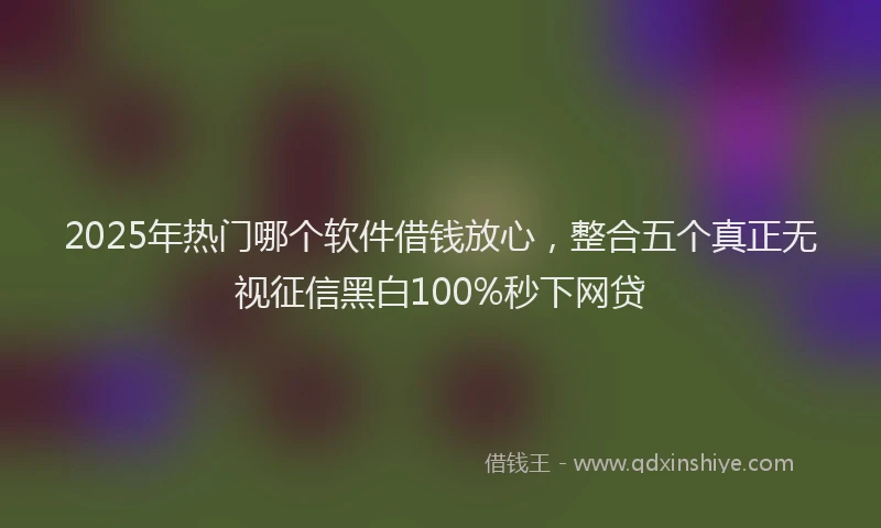 2025年热门哪个软件借钱放心，整合五个真正无视征信黑白100%秒下网贷