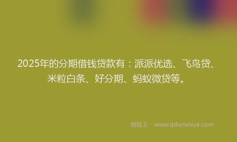 2025年的分期借钱贷款有：派派优选、飞鸟贷、米粒白条、好分期、蚂蚁微贷等。