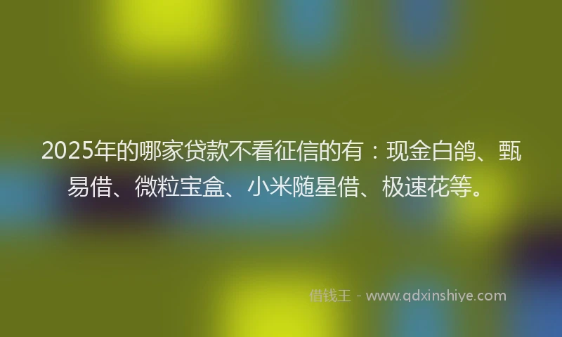 2025年的哪家贷款不看征信的有：现金白鸽、甄易借、微粒宝盒、小米随星借、极速花等。