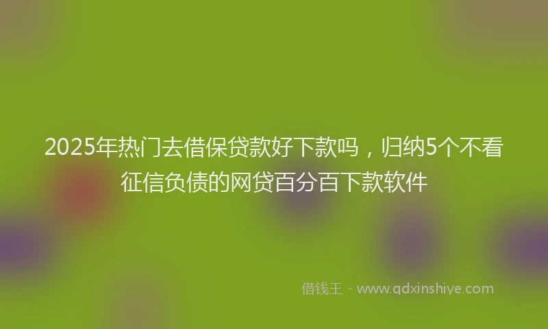 2025年热门去借保贷款好下款吗，归纳5个不看征信负债的网贷百分百下款软件