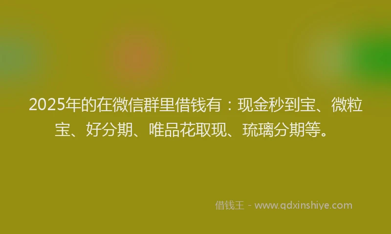 2025年的在微信群里借钱有：现金秒到宝、微粒宝、好分期、唯品花取现、琉璃分期等。