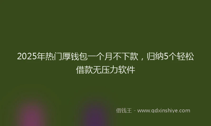 2025年热门厚钱包一个月不下款，归纳5个轻松借款无压力软件