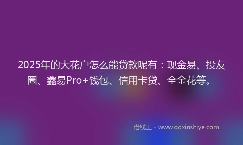 2025年的大花户怎么能贷款呢有：现金易、投友圈、鑫易Pro+钱包、信用卡贷、全金花等。