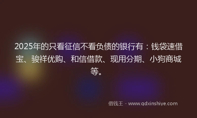2025年的只看征信不看负债的银行有：钱袋速借宝、骏祥优购、和信借款、现用分期、小狗商城等。