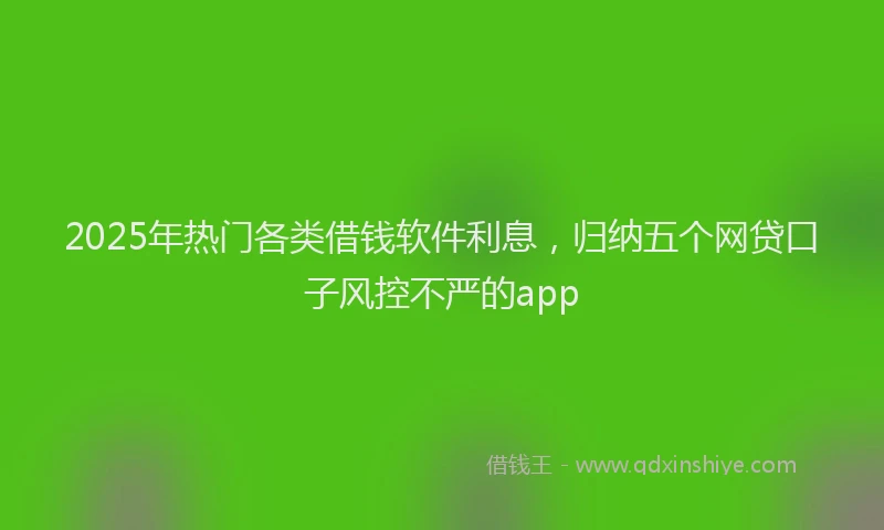 2025年热门各类借钱软件利息，归纳五个网贷口子风控不严的app