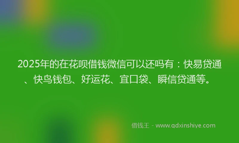 2025年的在花呗借钱微信可以还吗有：快易贷通、快鸟钱包、好运花、宜口袋、瞬信贷通等。