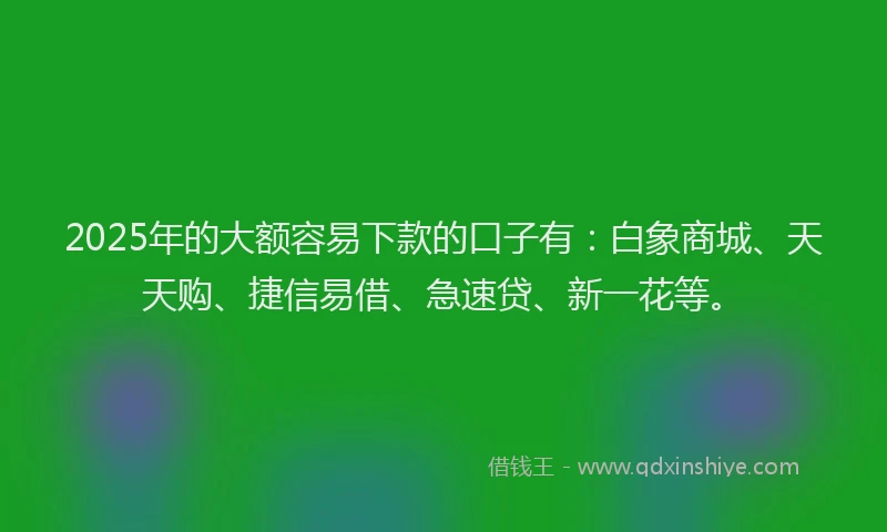 2025年的大额容易下款的口子有：白象商城、天天购、捷信易借、急速贷、新一花等。