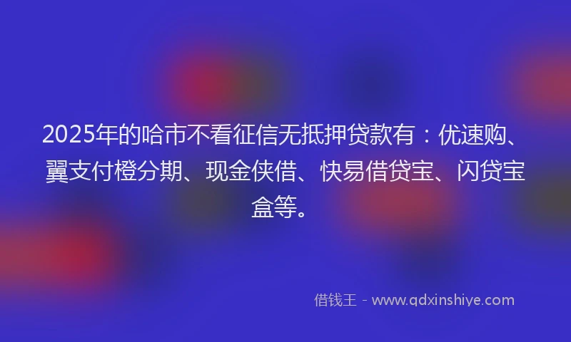 2025年的哈市不看征信无抵押贷款有：优速购、翼支付橙分期、现金侠借、快易借贷宝、闪贷宝盒等。