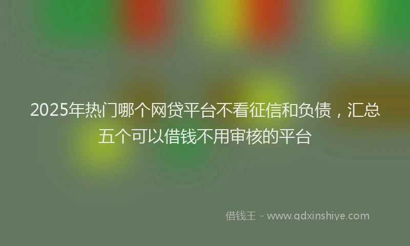 2025年热门哪个网贷平台不看征信和负债，汇总五个可以借钱不用审核的平台