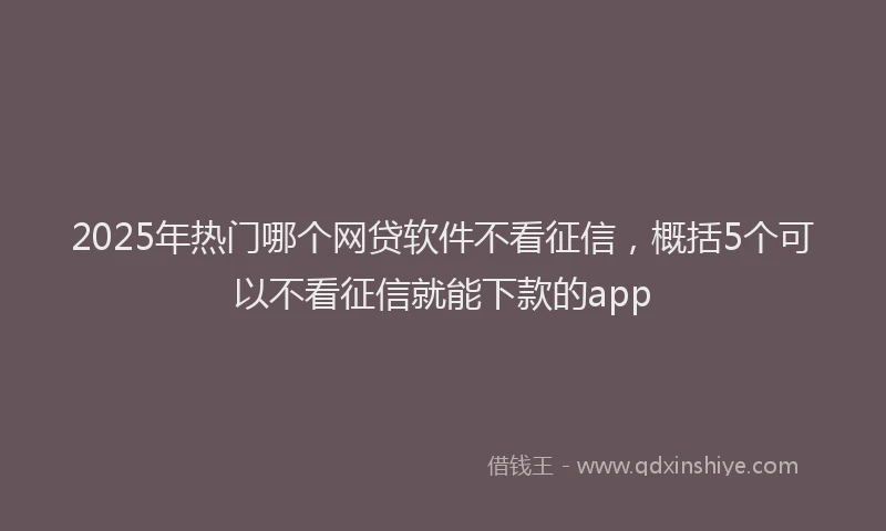 2025年热门哪个网贷软件不看征信，概括5个可以不看征信就能下款的app