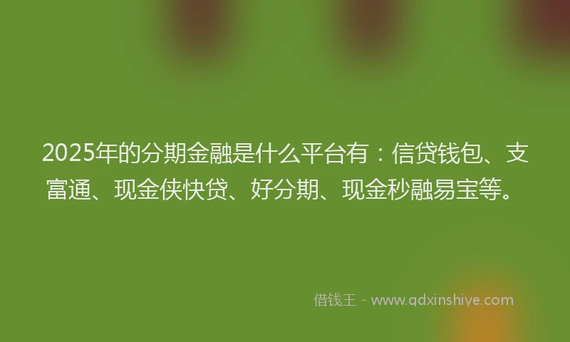 2025年的分期金融是什么平台有：信贷钱包、支富通、现金侠快贷、好分期、现金秒融易宝等。