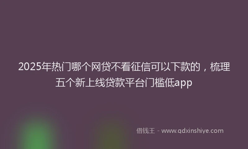 2025年热门哪个网贷不看征信可以下款的，梳理五个新上线贷款平台门槛低app