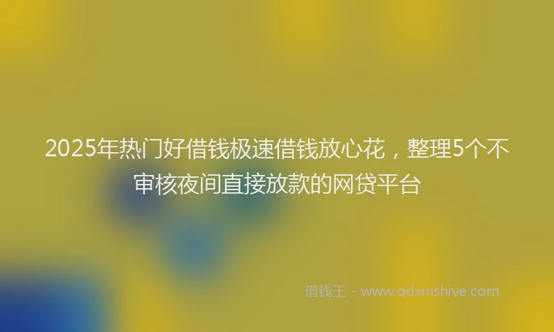 2025年热门好借钱极速借钱放心花，整理5个不审核夜间直接放款的网贷平台