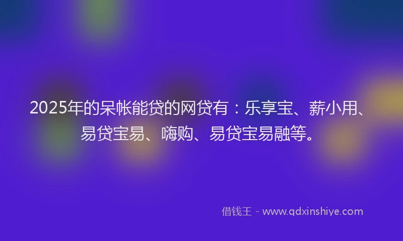2025年的呆帐能贷的网贷有：乐享宝、薪小用、易贷宝易、嗨购、易贷宝易融等。