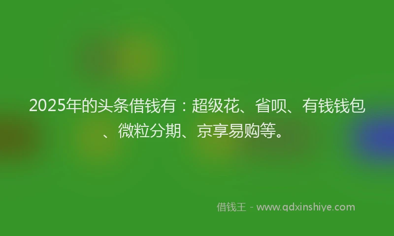 2025年的头条借钱有：超级花、省呗、有钱钱包、微粒分期、京享易购等。