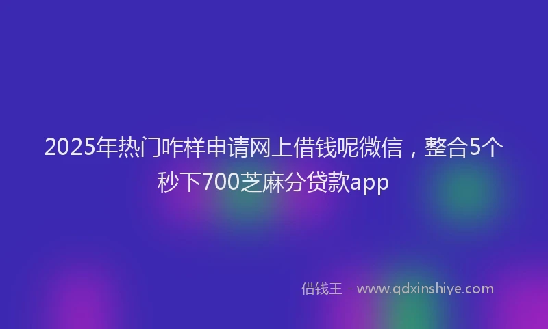 2025年热门咋样申请网上借钱呢微信，整合5个秒下700芝麻分贷款app