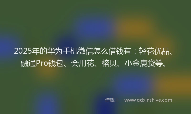2025年的华为手机微信怎么借钱有：轻花优品、融通Pro钱包、会用花、榕贝、小金鹿贷等。