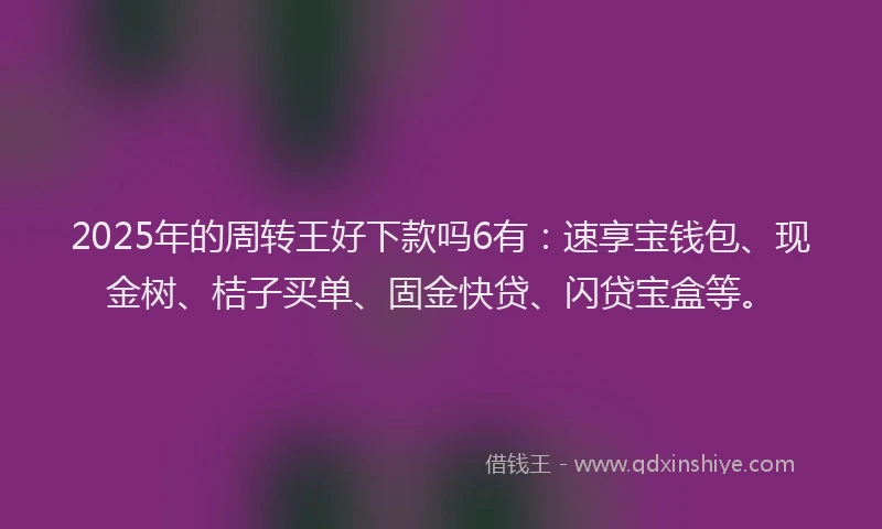 2025年的周转王好下款吗6有：速享宝钱包、现金树、桔子买单、固金快贷、闪贷宝盒等。