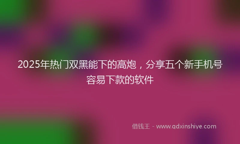 2025年热门双黑能下的高炮，分享五个新手机号容易下款的软件
