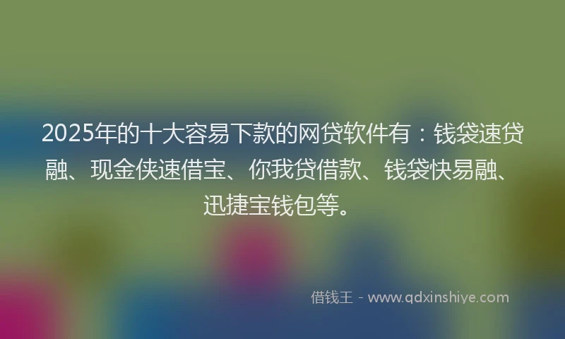 2025年的十大容易下款的网贷软件有：钱袋速贷融、现金侠速借宝、你我贷借款、钱袋快易融、迅捷宝钱包等。