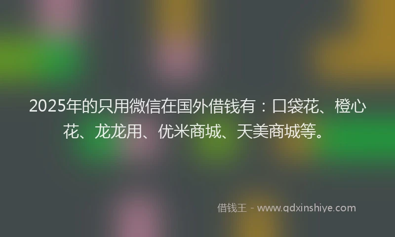 2025年的只用微信在国外借钱有：口袋花、橙心花、龙龙用、优米商城、天美商城等。