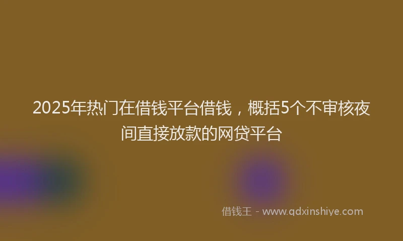 2025年热门在借钱平台借钱，概括5个不审核夜间直接放款的网贷平台
