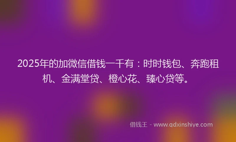 2025年的加微信借钱一千有：时时钱包、奔跑租机、金满堂贷、橙心花、臻心贷等。