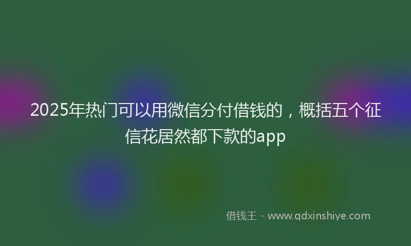 2025年热门可以用微信分付借钱的，概括五个征信花居然都下款的app