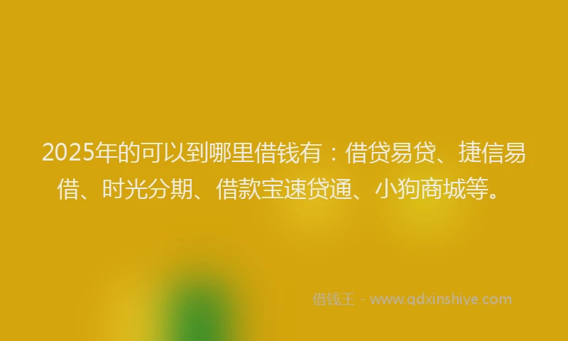 2025年的可以到哪里借钱有：借贷易贷、捷信易借、时光分期、借款宝速贷通、小狗商城等。