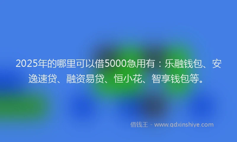 2025年的哪里可以借5000急用有：乐融钱包、安逸速贷、融资易贷、恒小花、智享钱包等。